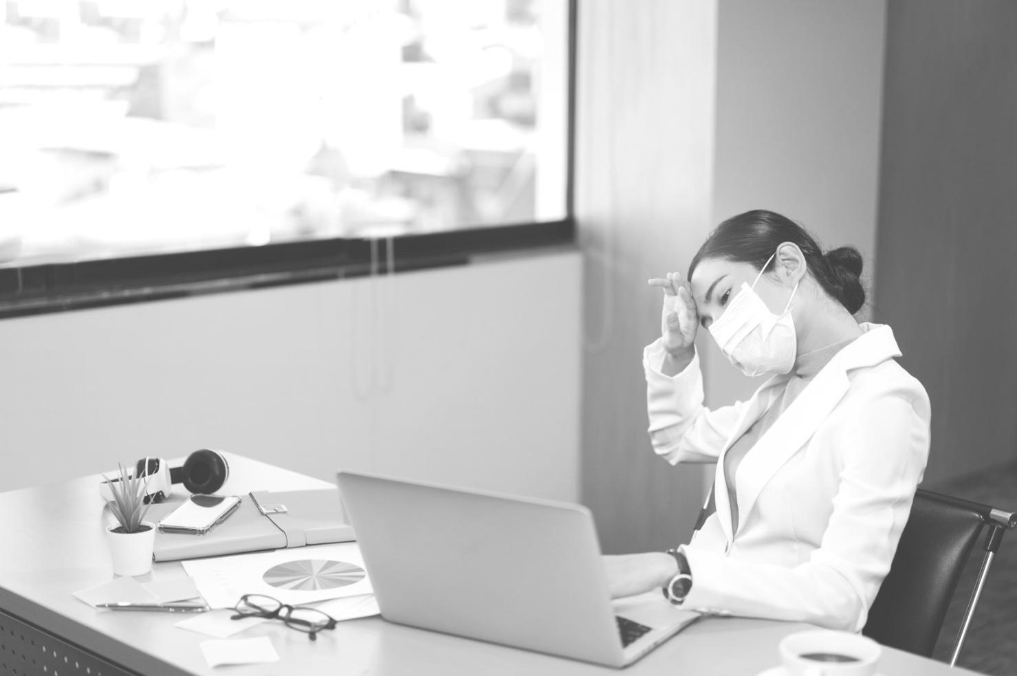 Workshop-Plattform – Lernbereich mit Aufgaben und Fortschrittsanzeige